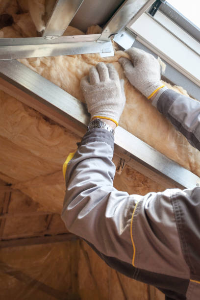 Insulation Air Sealing in Delmar, MD